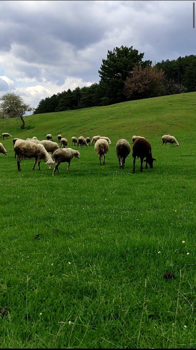 Bursa'daki yayladan hayran bırakan manzaralar