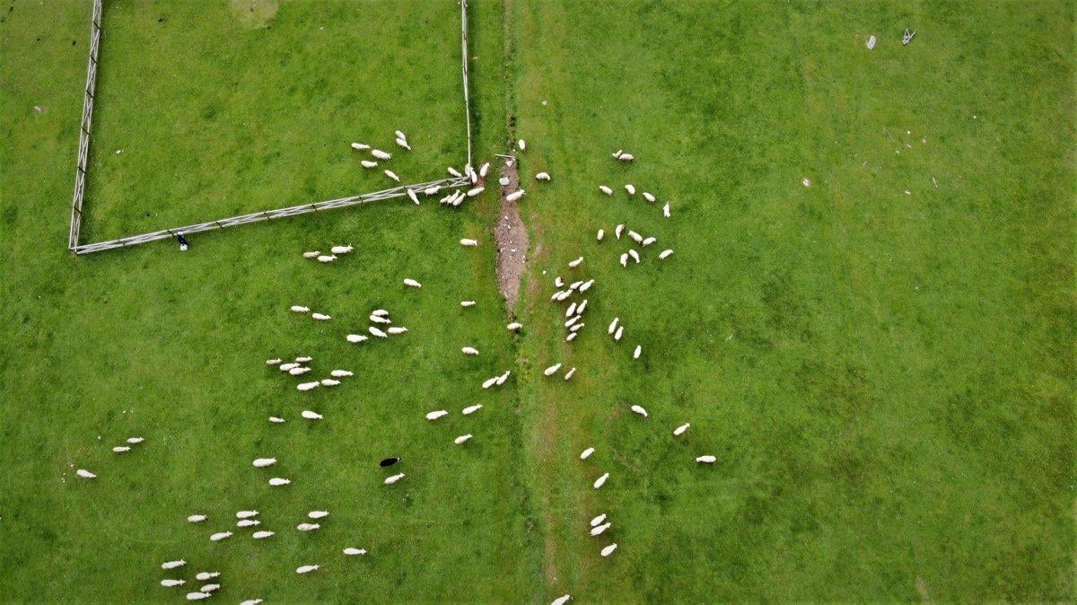 Bursa'daki yayladan hayran bırakan manzaralar