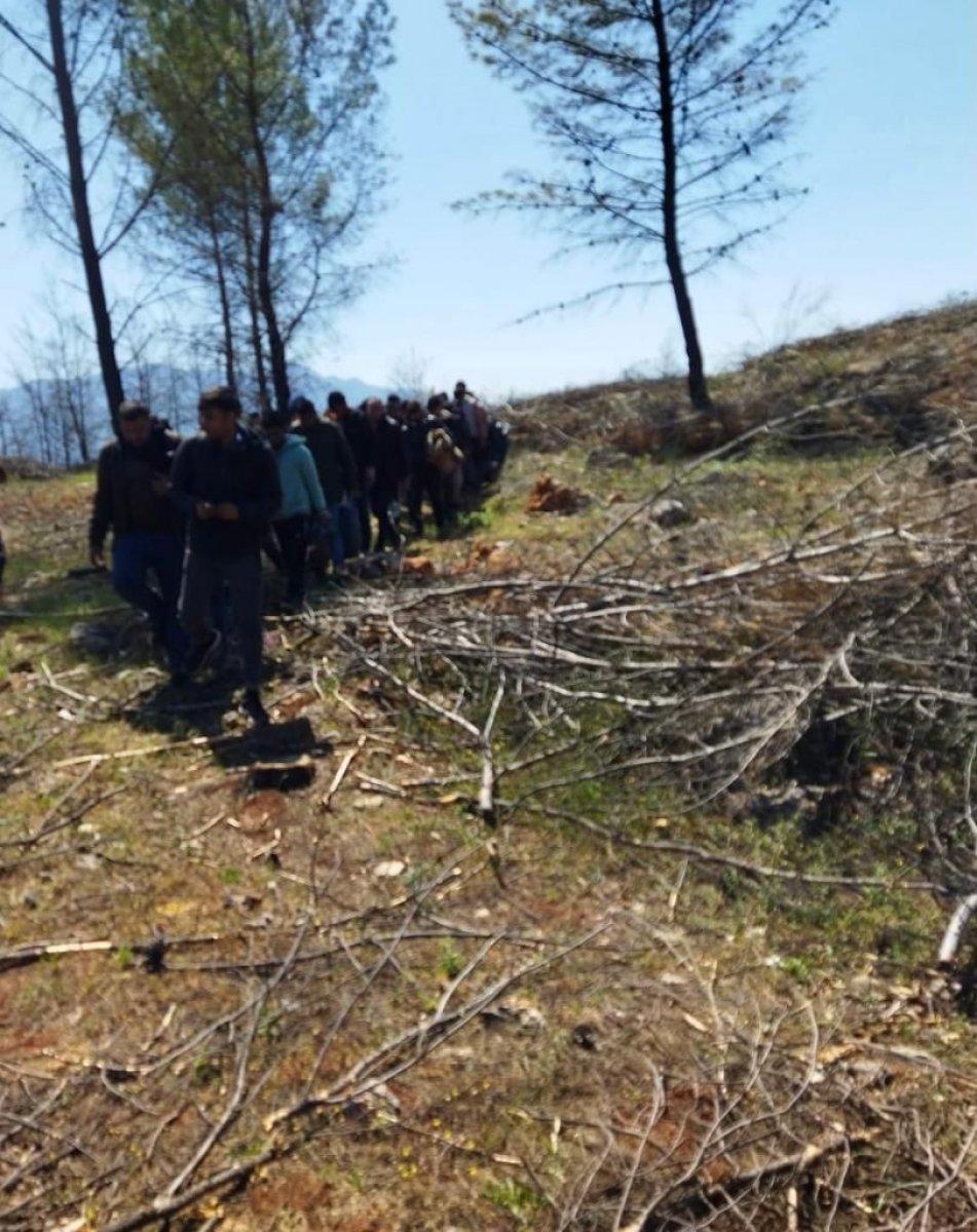 Muğla’da, 55 kaçak göçmen yakalandı