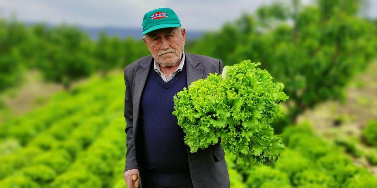 Bursa'da tarladan 2 liraya çıkan marulun fiyatı rafta 5 katına çıkıyor