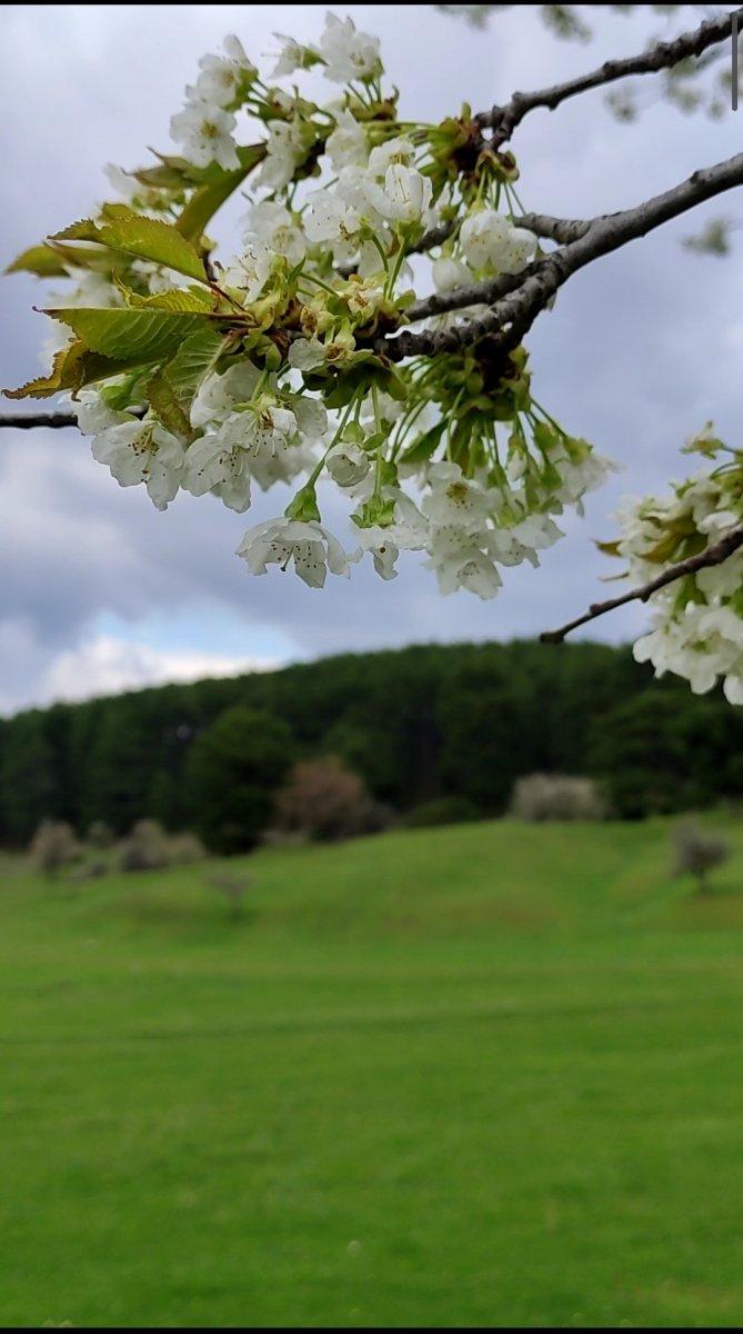 Bursa'daki yayladan hayran bırakan manzaralar
