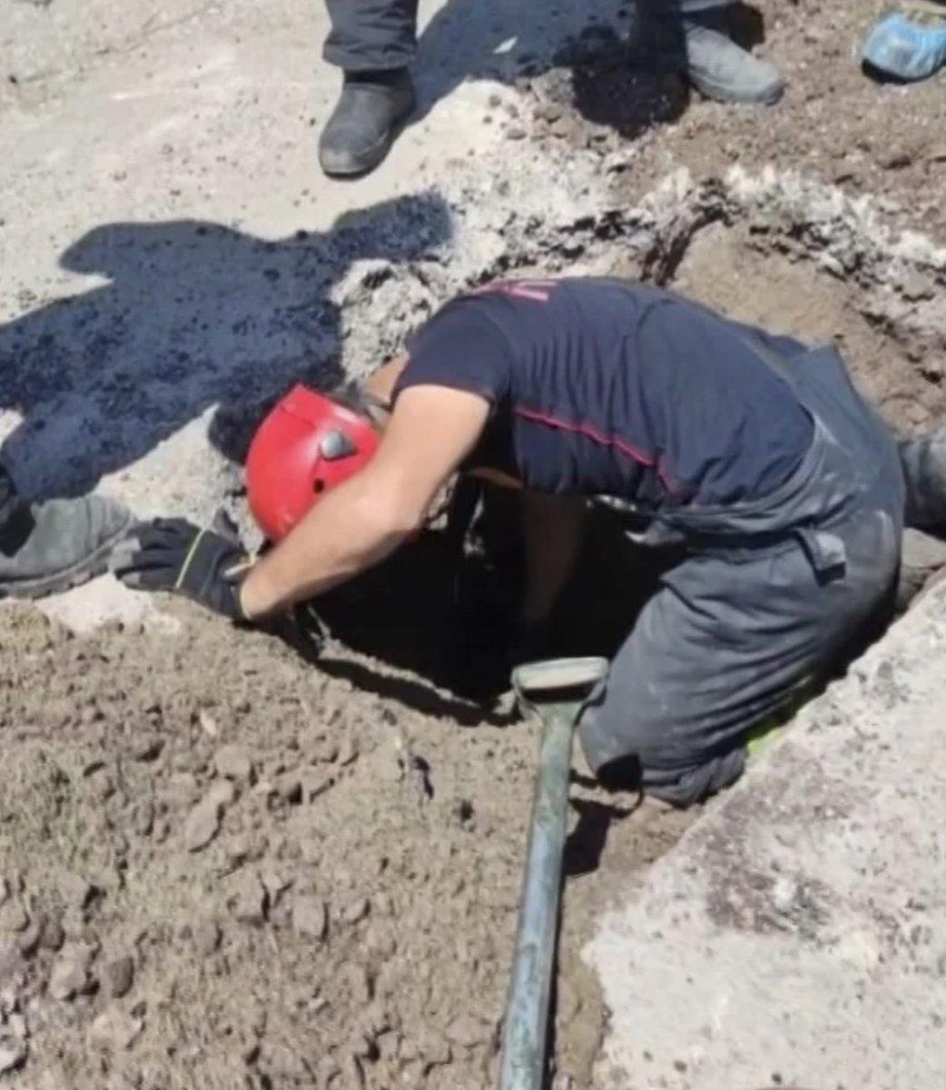 Kocaeli'nde yavru köpek su kanalına düştü