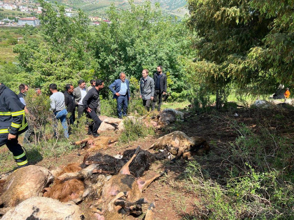 Diyarbakır’da sürünün üzerine yıldırım düştü