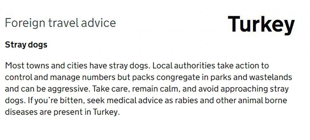 İngiltere, Türkiye'deki başıboş köpekler için uyarı yayınladı