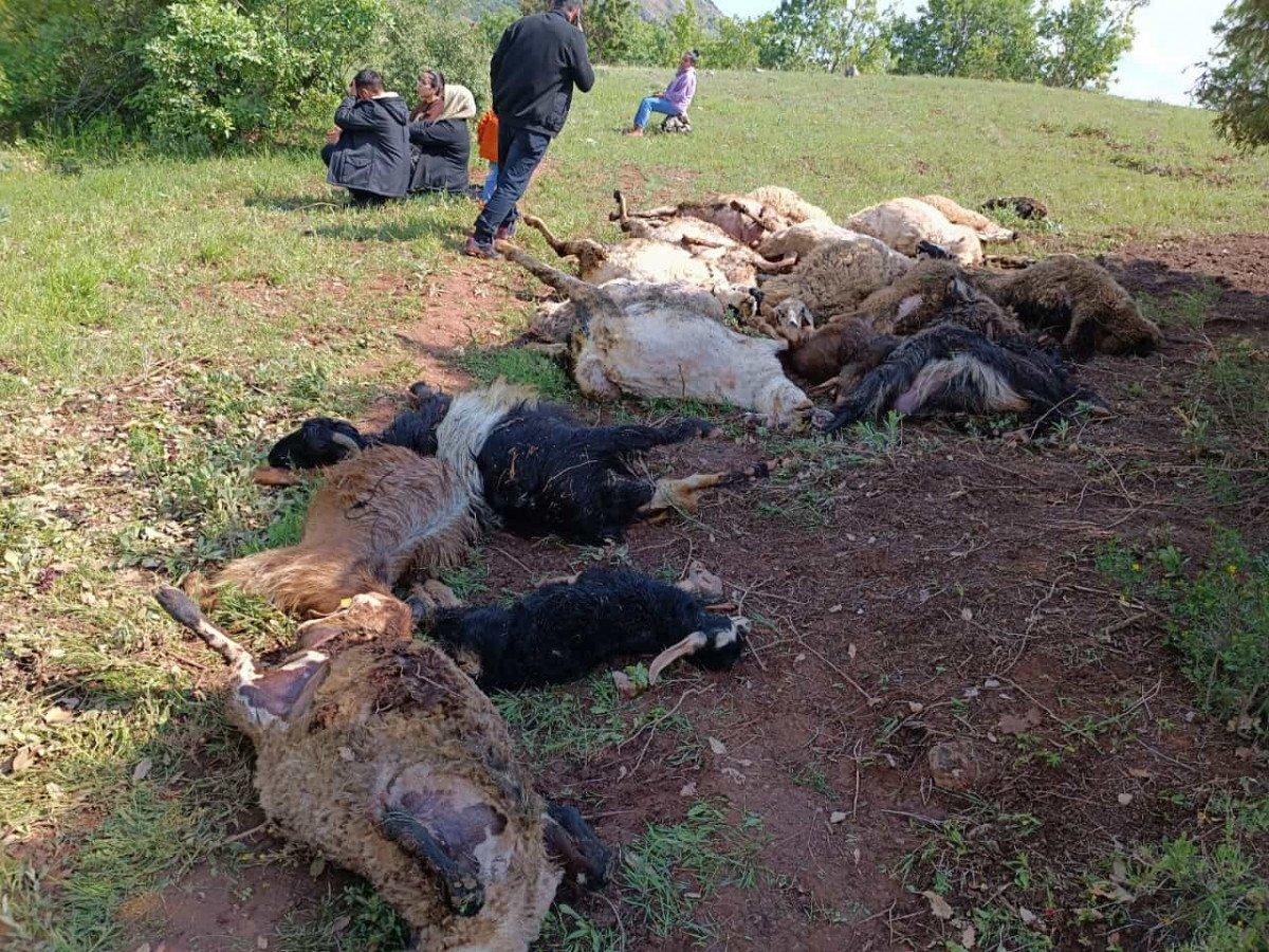 Diyarbakır’da sürünün üzerine yıldırım düştü