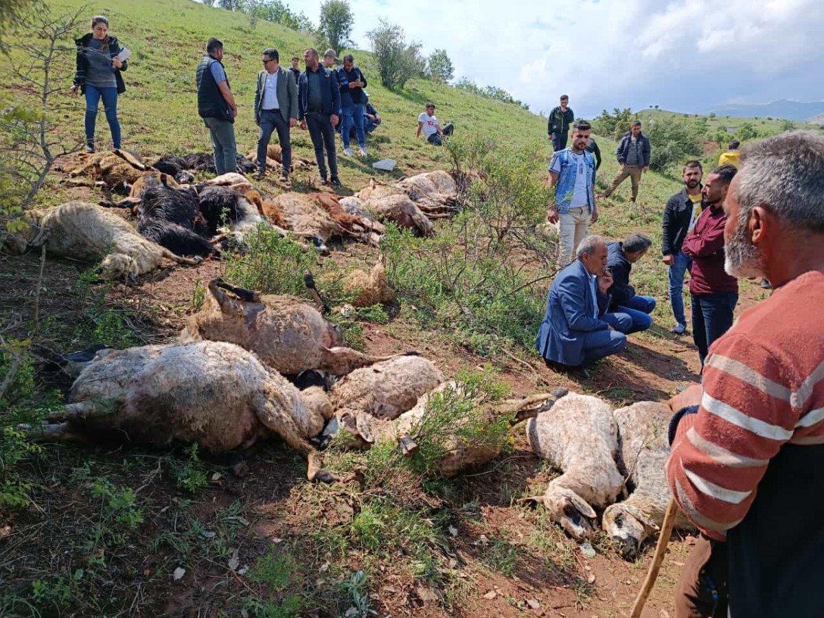 Diyarbakır’da sürünün üzerine yıldırım düştü