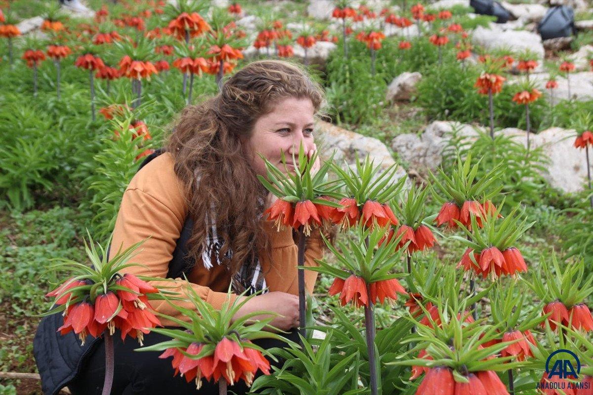 Batman'da ters laleler baharın müjdecisi olarak görülüyor