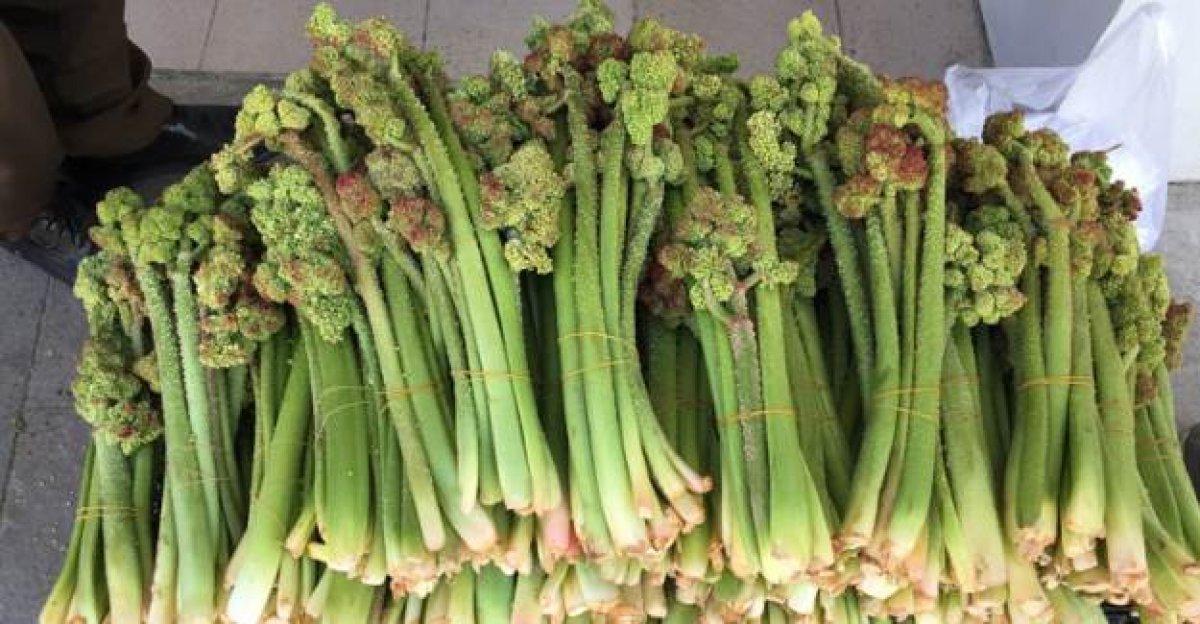 Tam mevsimi: Işkın nedir, faydaları nelerdir?