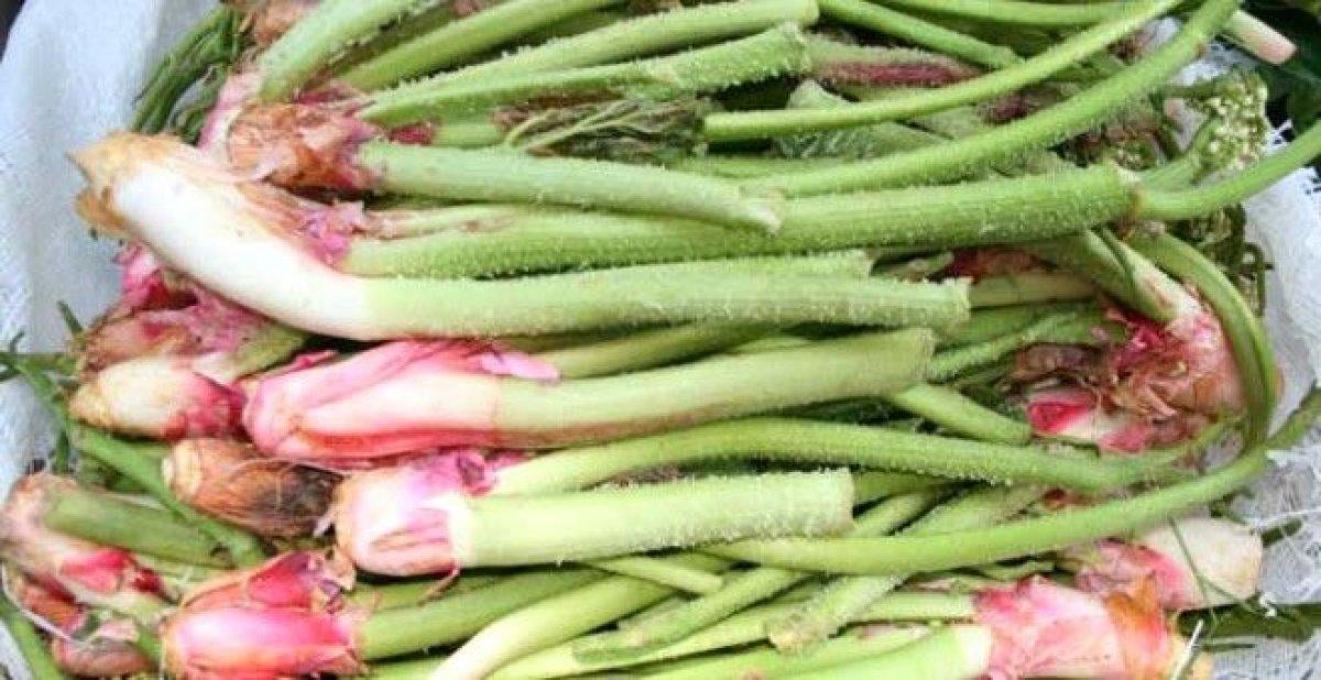 Tam mevsimi: Işkın nedir, faydaları nelerdir?