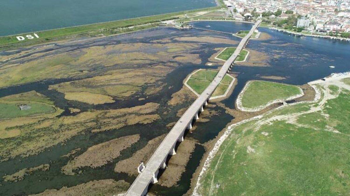 Büyükçekmece Gölü'nün üzerini yosun kapladı