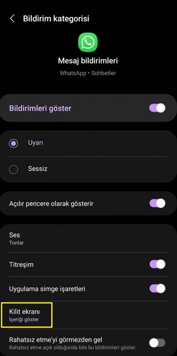 WhatsApp'ta mavi tık olmadan mesaj okumanın 4 yolu