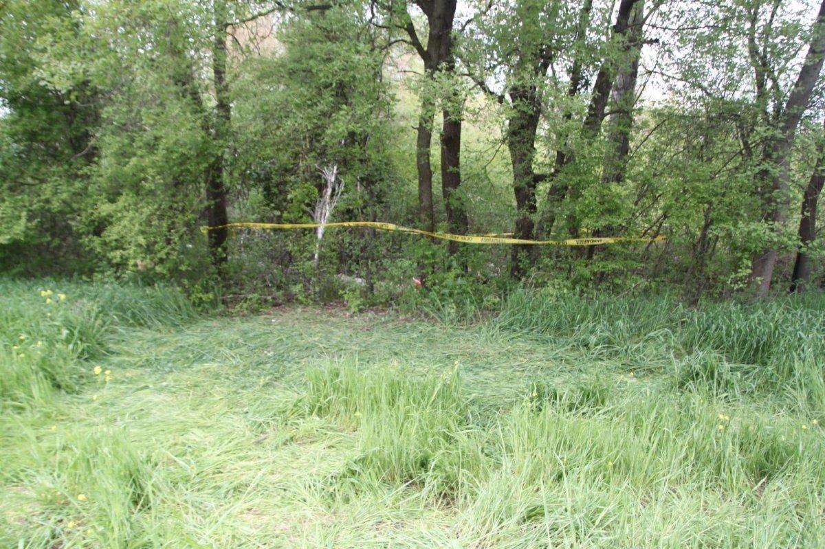 Bilecik'te kavak ağacının üzerine devrilmesi sonucu hayatını kaybetti