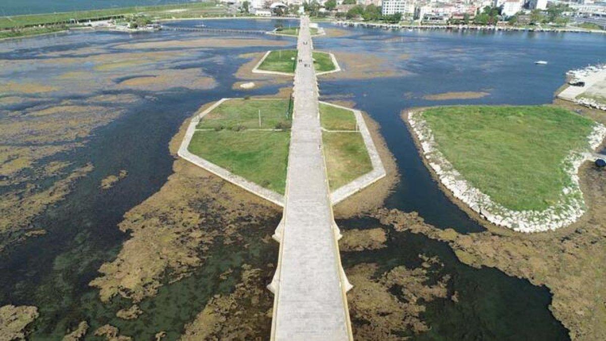 Büyükçekmece Gölü'nün üzerini yosun kapladı