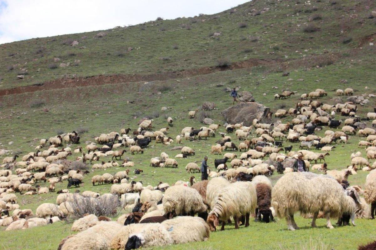 Şırnak'ta göçerler kar ve tipi nedeniyle mahsur kaldı