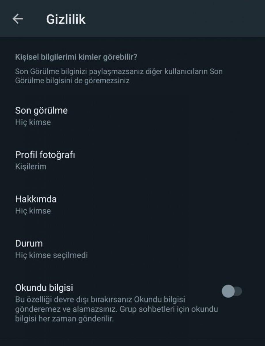 WhatsApp'ta mavi tık olmadan mesaj okumanın 4 yolu