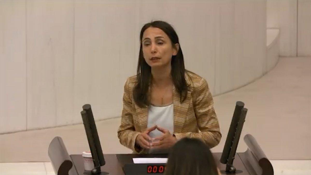 HDP'li Tülay Hatimoğulları: Suriye'deki operasyonlara son verin