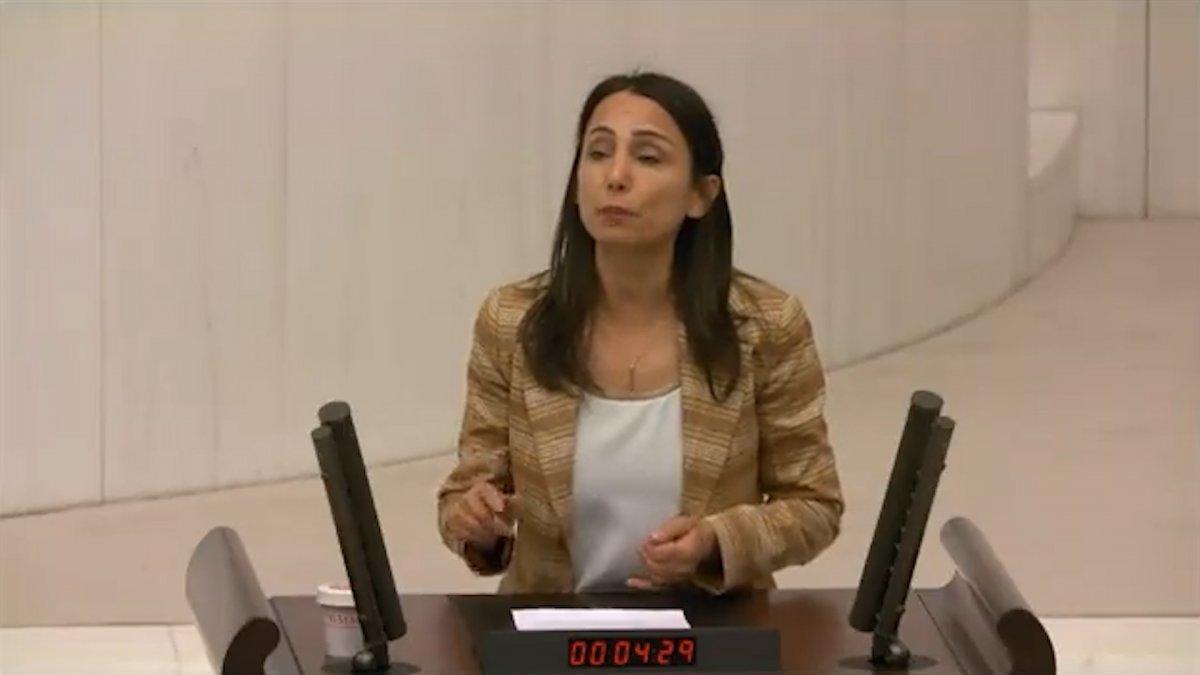 HDP'li Tülay Hatimoğulları: Suriye'deki operasyonlara son verin