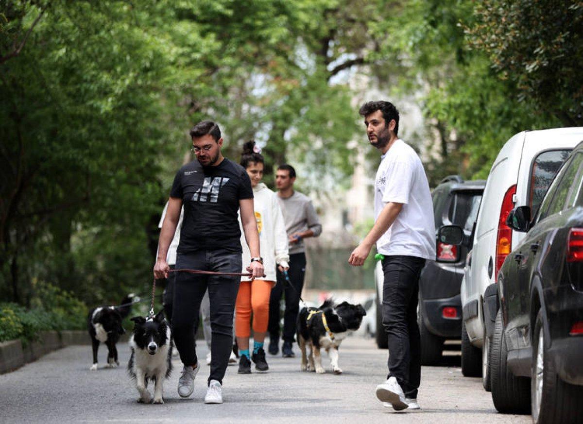 İstanbul'da köpek gezdirip kazanç sağlıyorlar