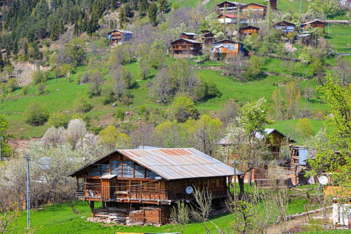 Şavşat'ta ilkbahar manzaraları nefes kesti