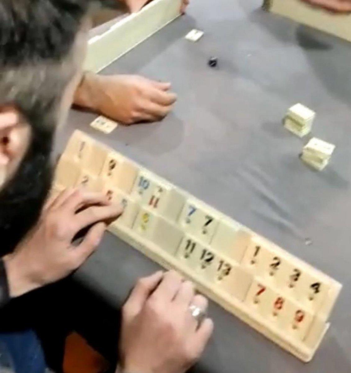 Bursa'da bir kedi okey masasında doğum yaptı