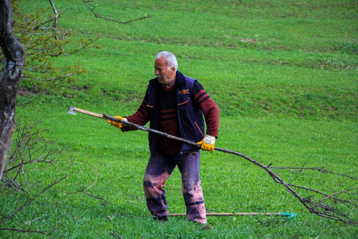 Şavşat'ta ilkbahar manzaraları nefes kesti