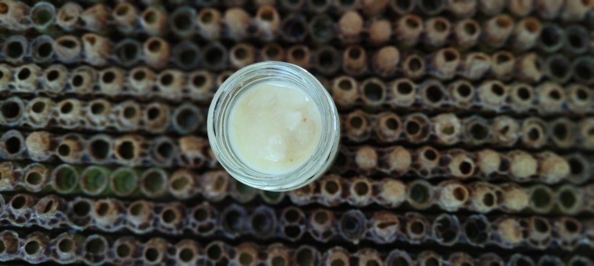 Kilosu 10 bin lira olan arı sütüne talep yoğun