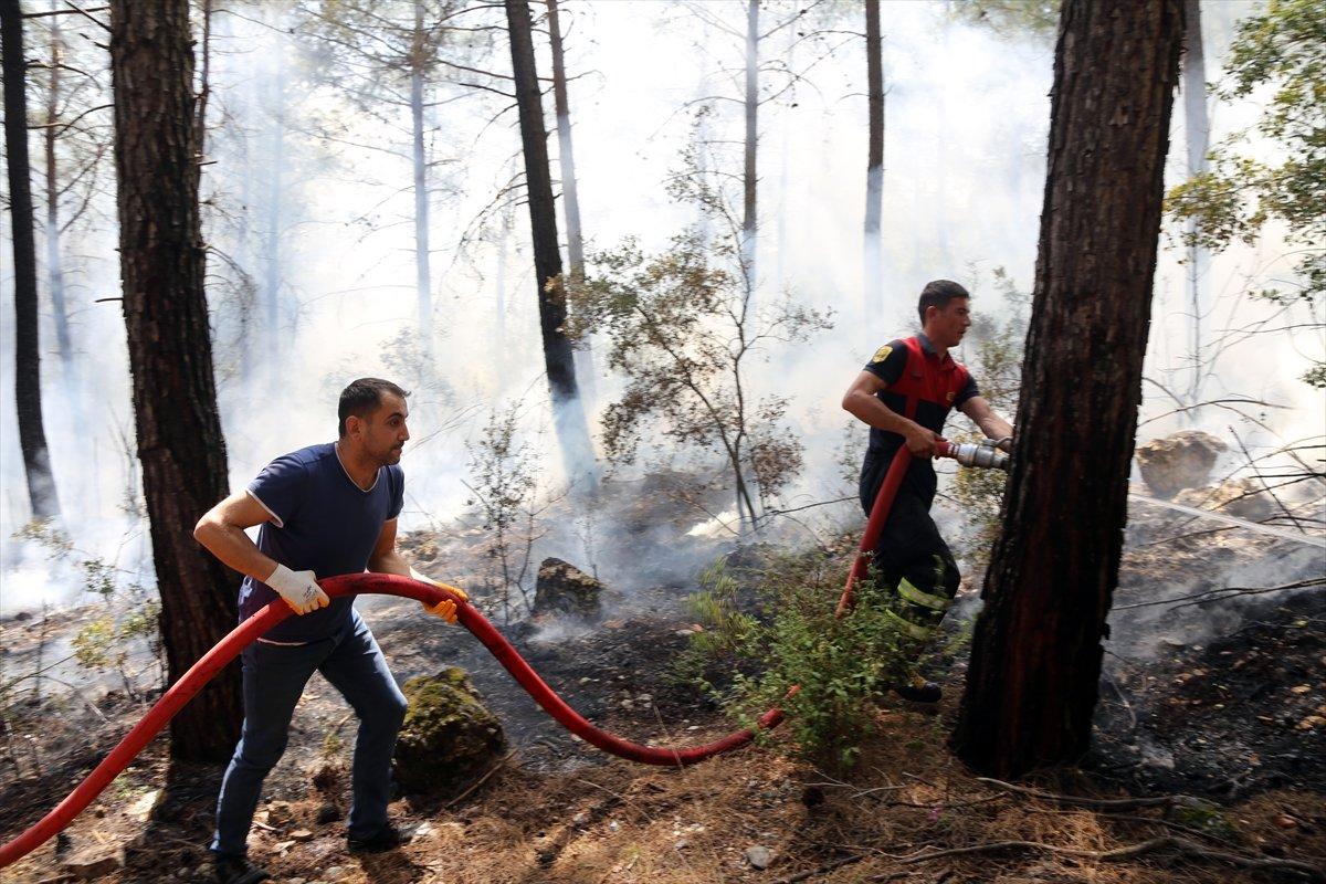 Muğla'da orman yangını söndürüldü