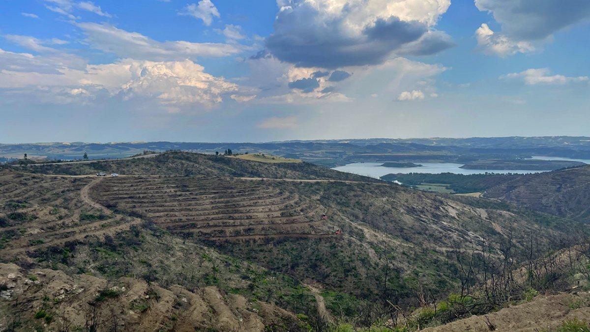 Adana'da yanan ormanlarda temizlik çalışması sürüyor