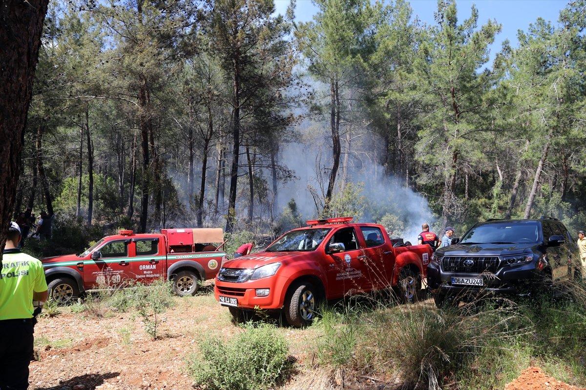 Muğla'da orman yangını söndürüldü