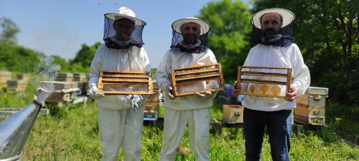 Kilosu 10 bin lira olan arı sütüne talep yoğun
