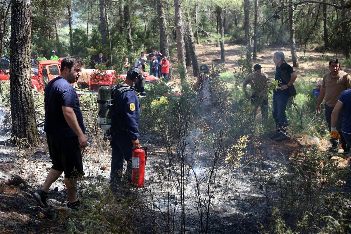 Muğla'da orman yangını söndürüldü