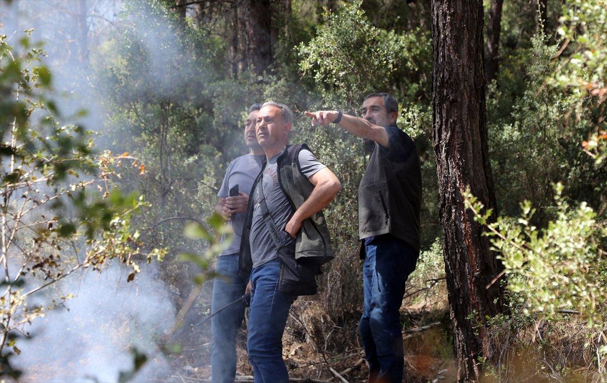 Muğla'da orman yangını söndürüldü