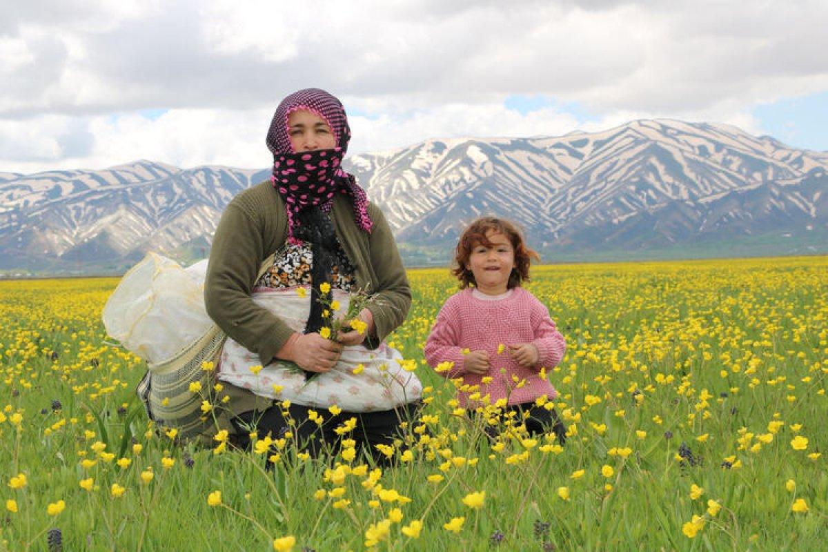 Yüksekova'ya bahar geldi