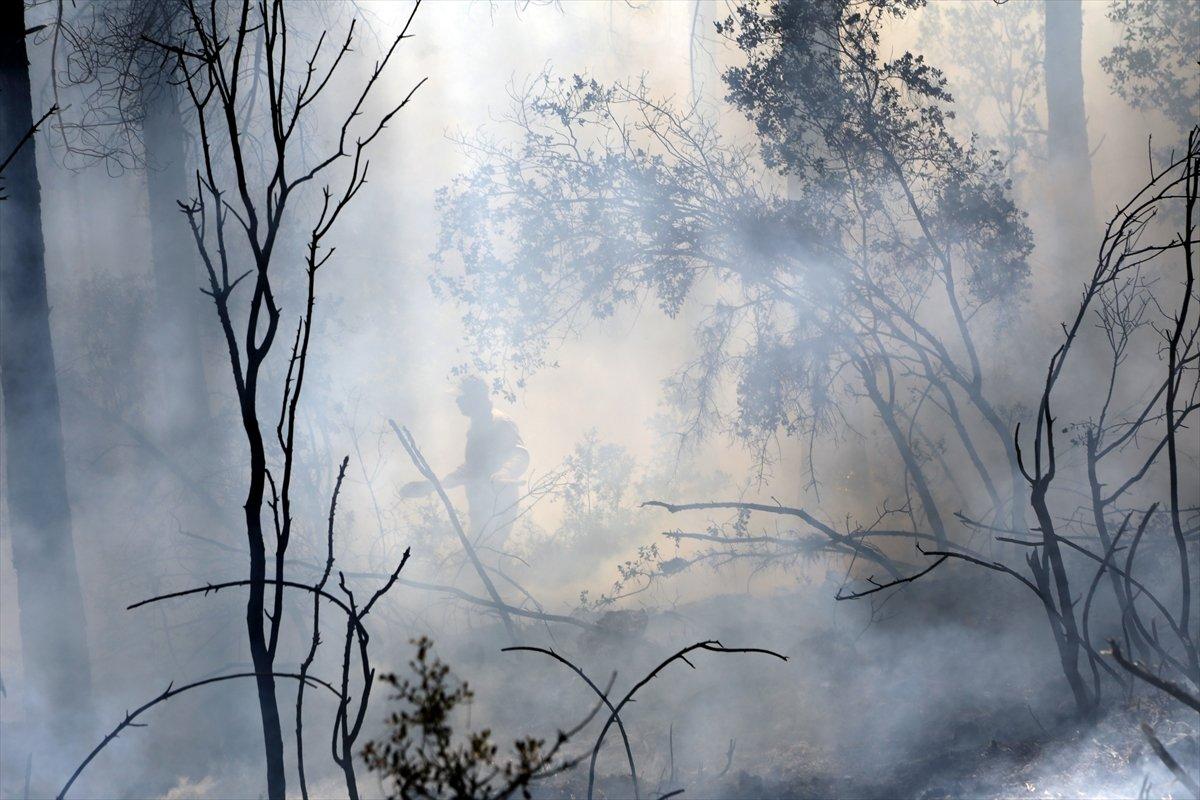Muğla'da orman yangını söndürüldü