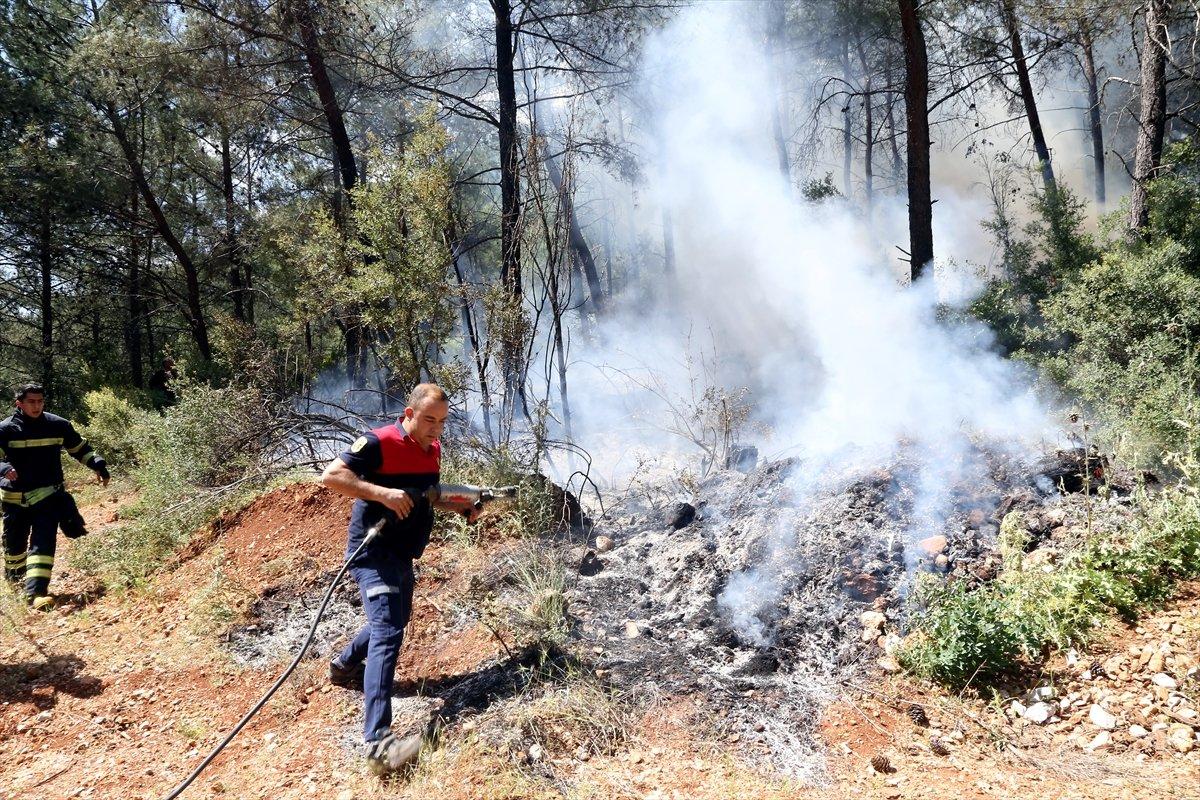 Muğla'da orman yangını söndürüldü