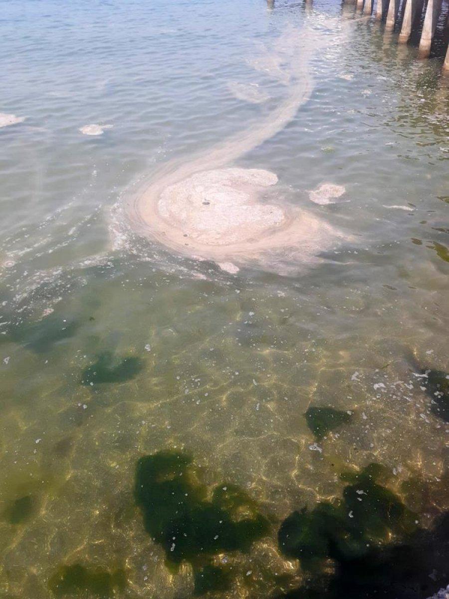 Büyükada açıklarında müsilaj benzeri kirlilik dikkati çekti