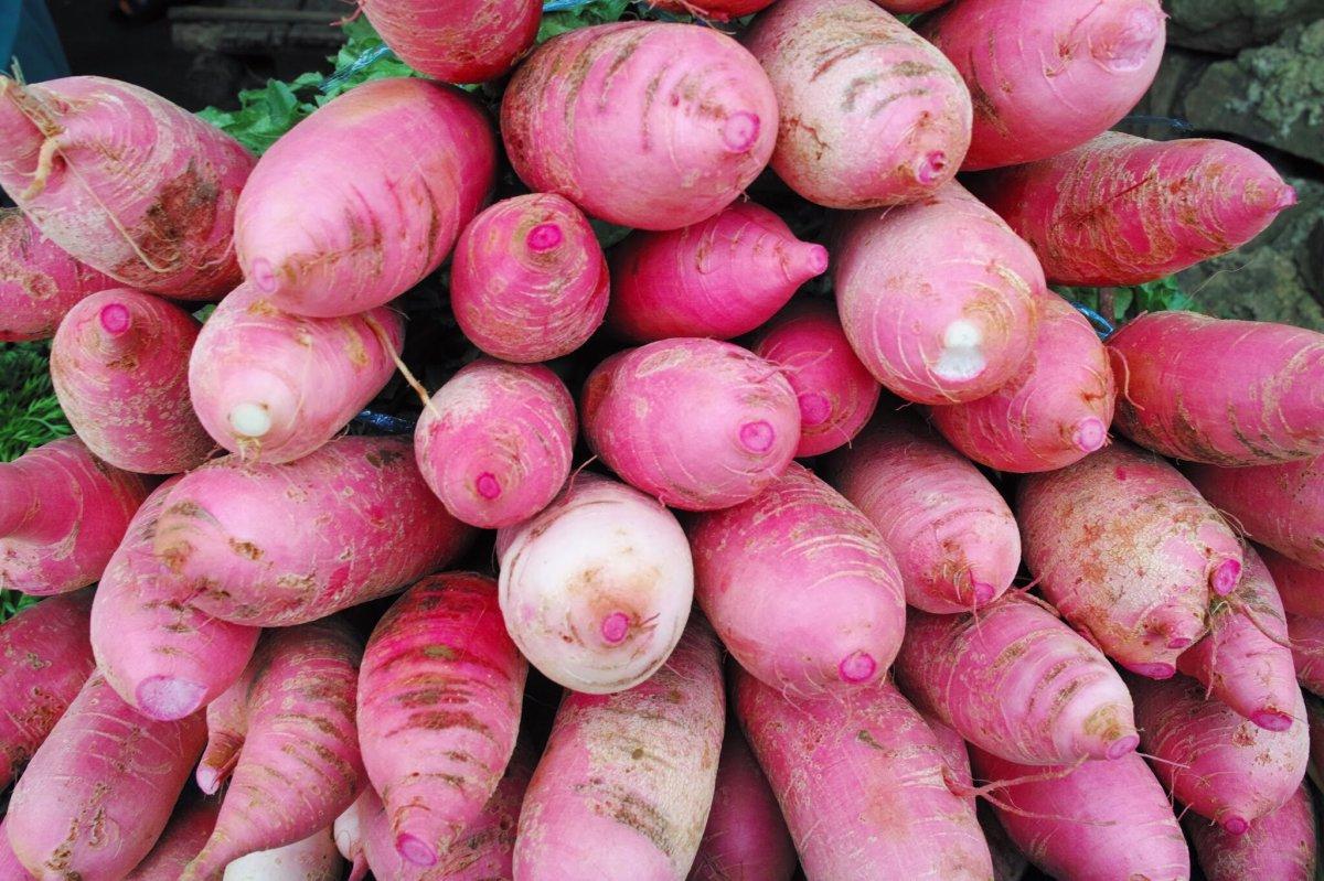 Kilo vermeye yardımcı sıfır kalorili 20 besin