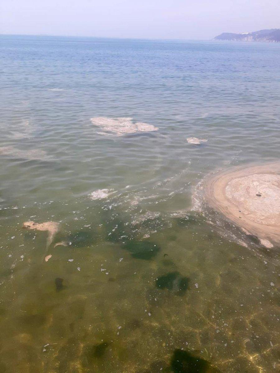 Büyükada açıklarında müsilaj benzeri kirlilik dikkati çekti