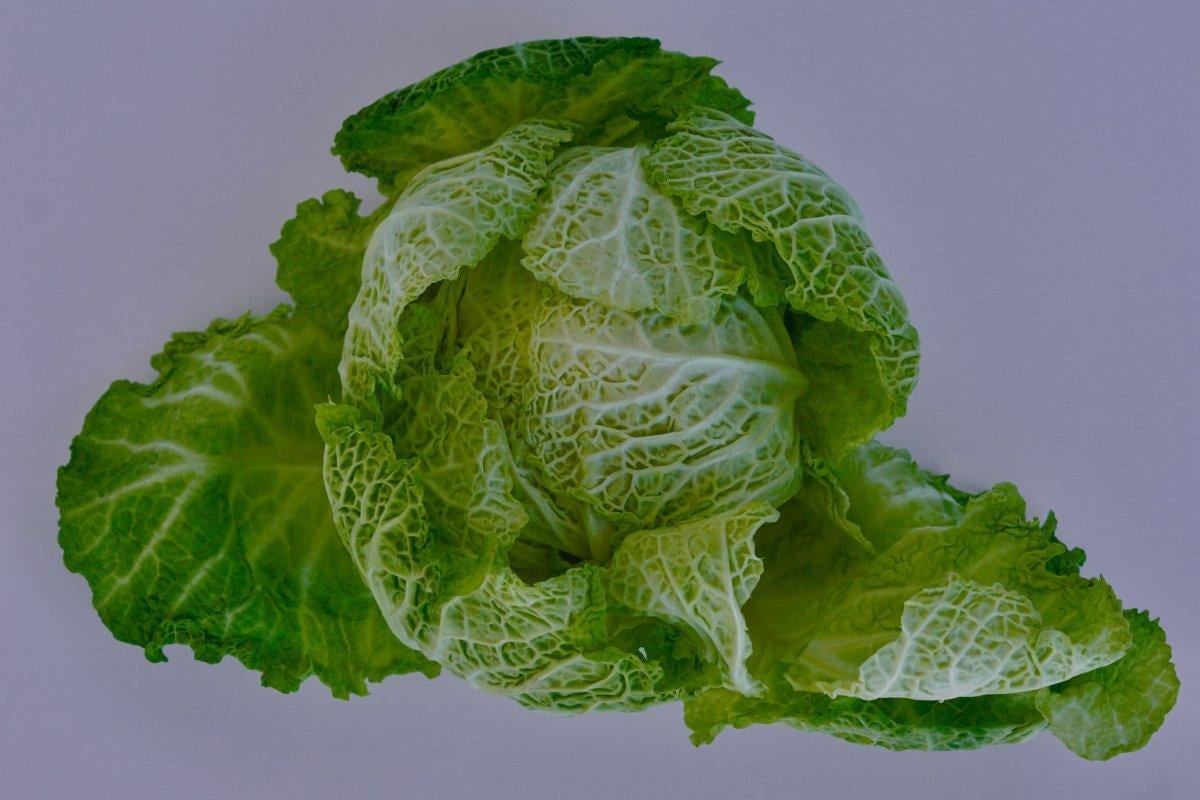 Kilo vermeye yardımcı sıfır kalorili 20 besin