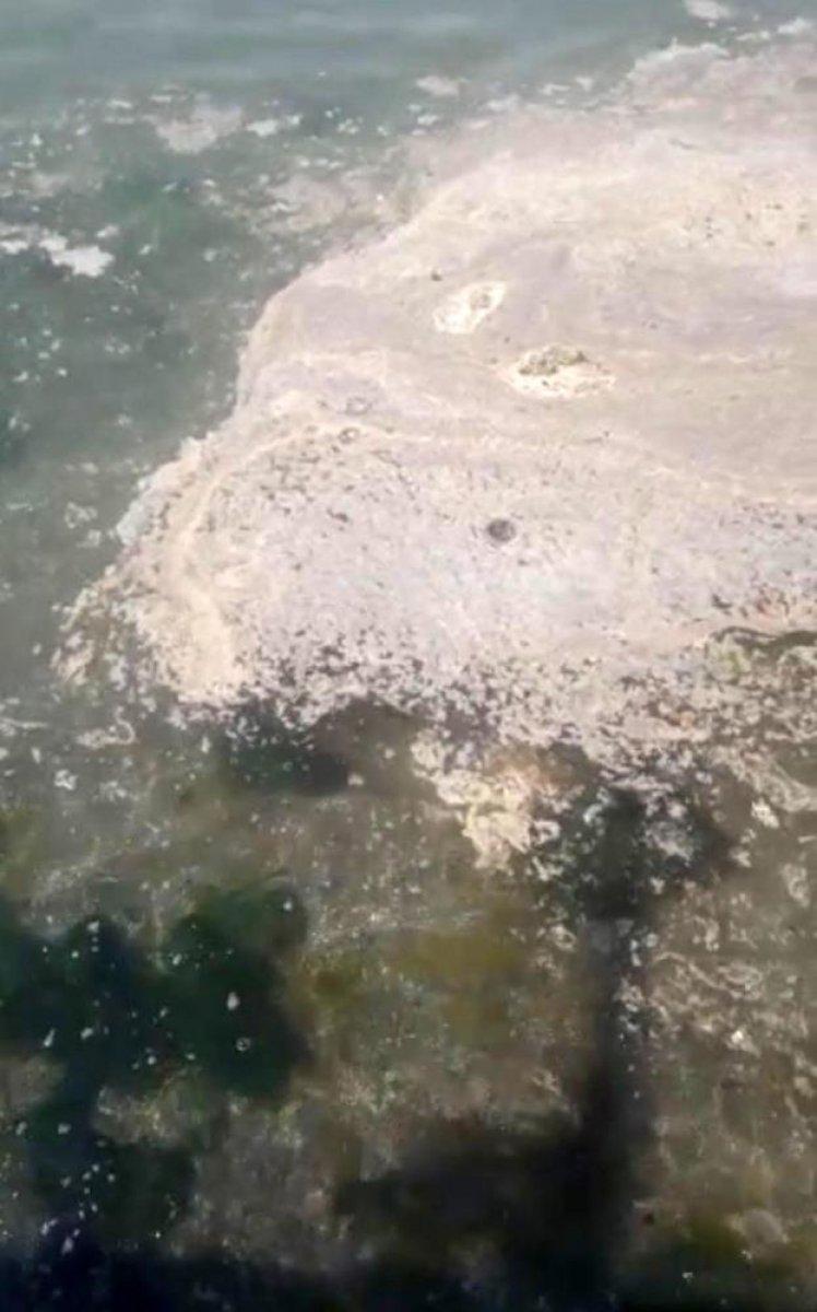 Büyükada açıklarında müsilaj benzeri kirlilik dikkati çekti