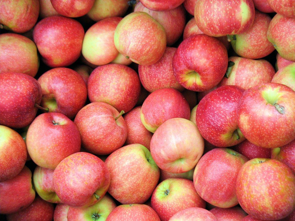 Kilo vermeye yardımcı sıfır kalorili 20 besin