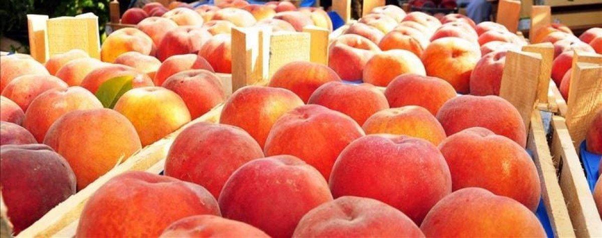 Çanakkale Lapseki şeftalisine coğrafi işaret