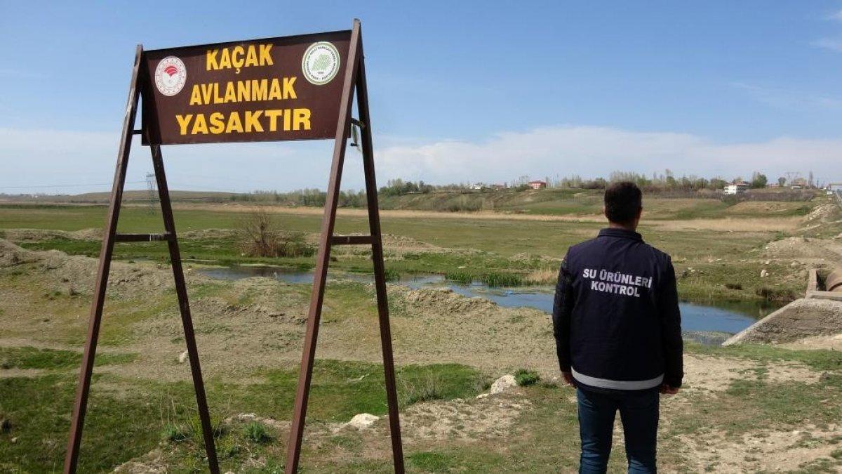 Van'da kaçak avlanan 18 ton inci kefali ele geçirildi