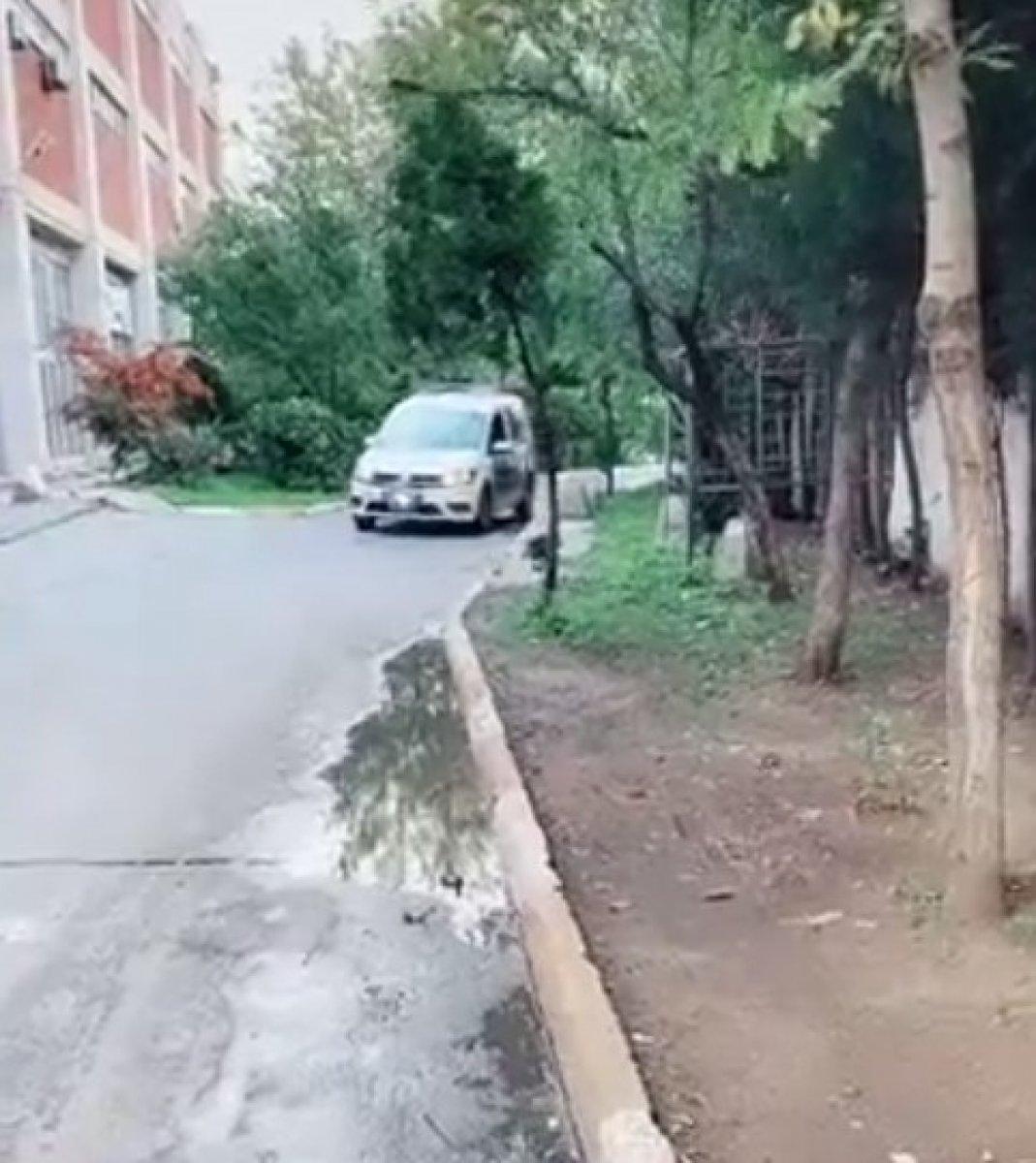 Polis aracı kullanan Suriyeli İstanbul'da yakalandı