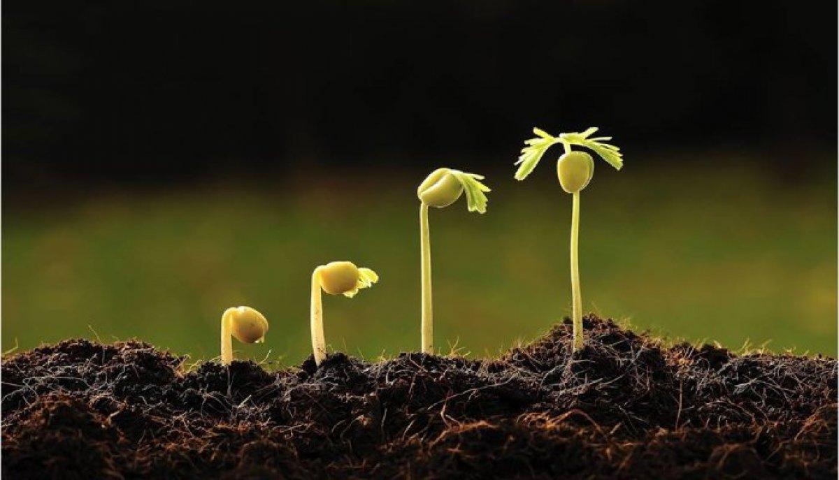 2022 Filizkıran Fırtınası nedir, ne zaman başlar ve biter?