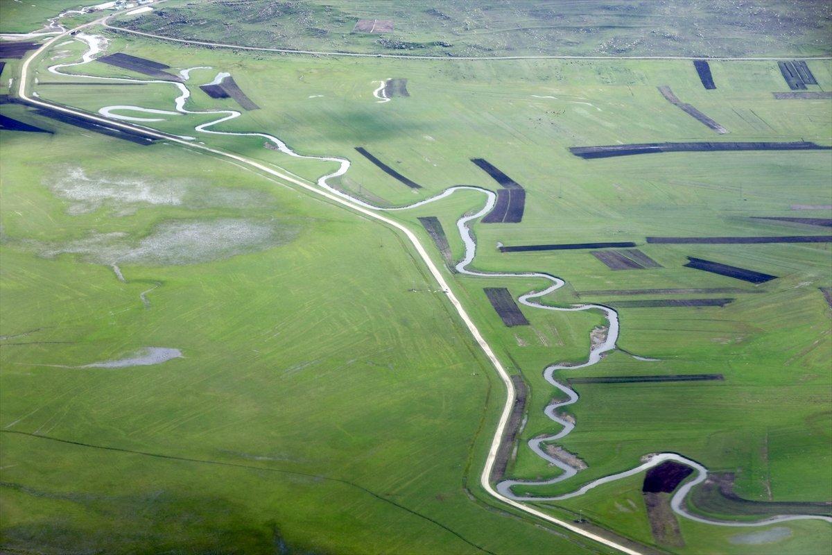 Ardahan'da menderesler görüntülendi