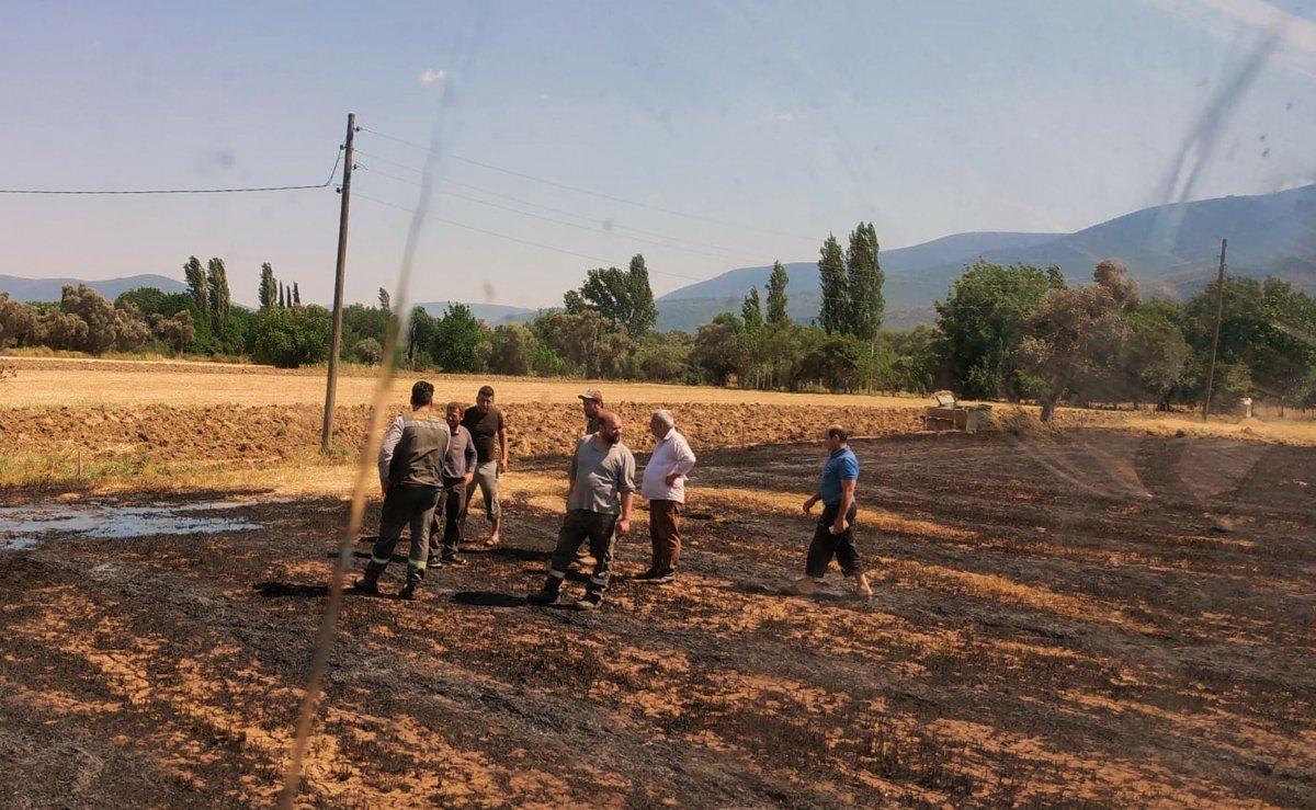 Milas'ta otluk yangını