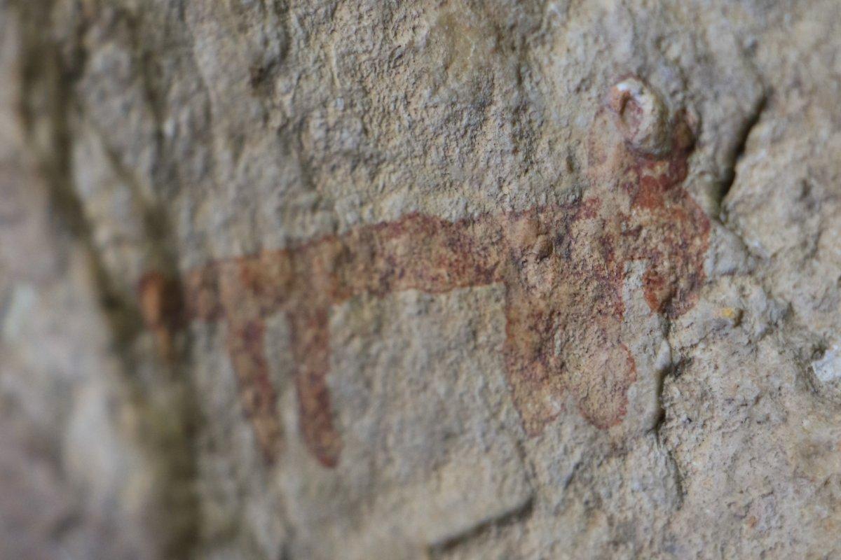 Mersin'de keçisi düşen çoban, tarihi resimleri keşfetti