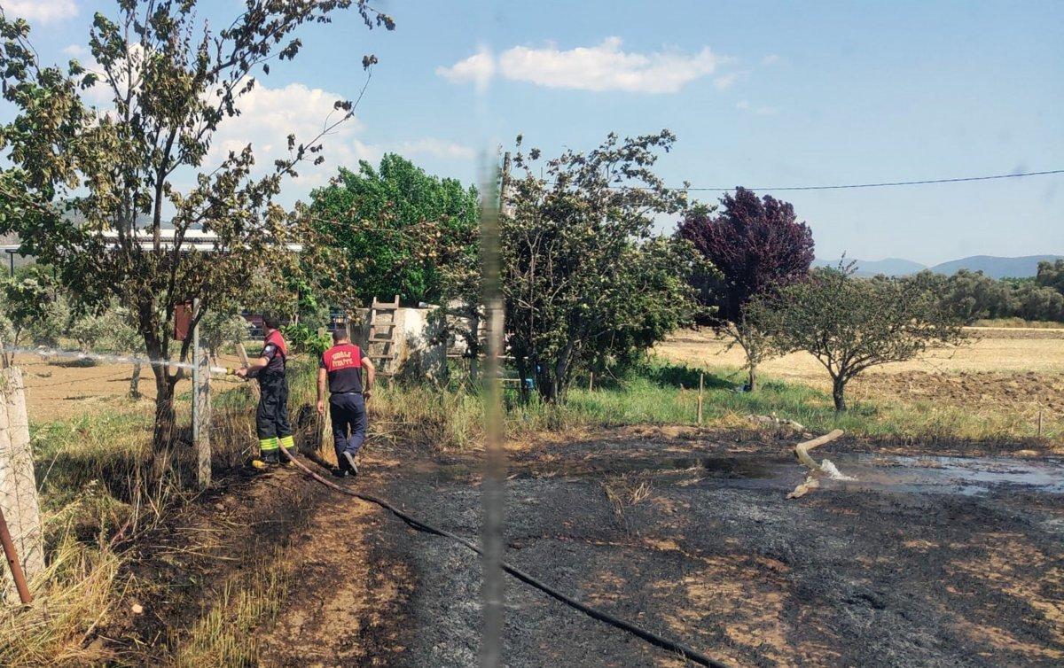 Milas'ta otluk yangını