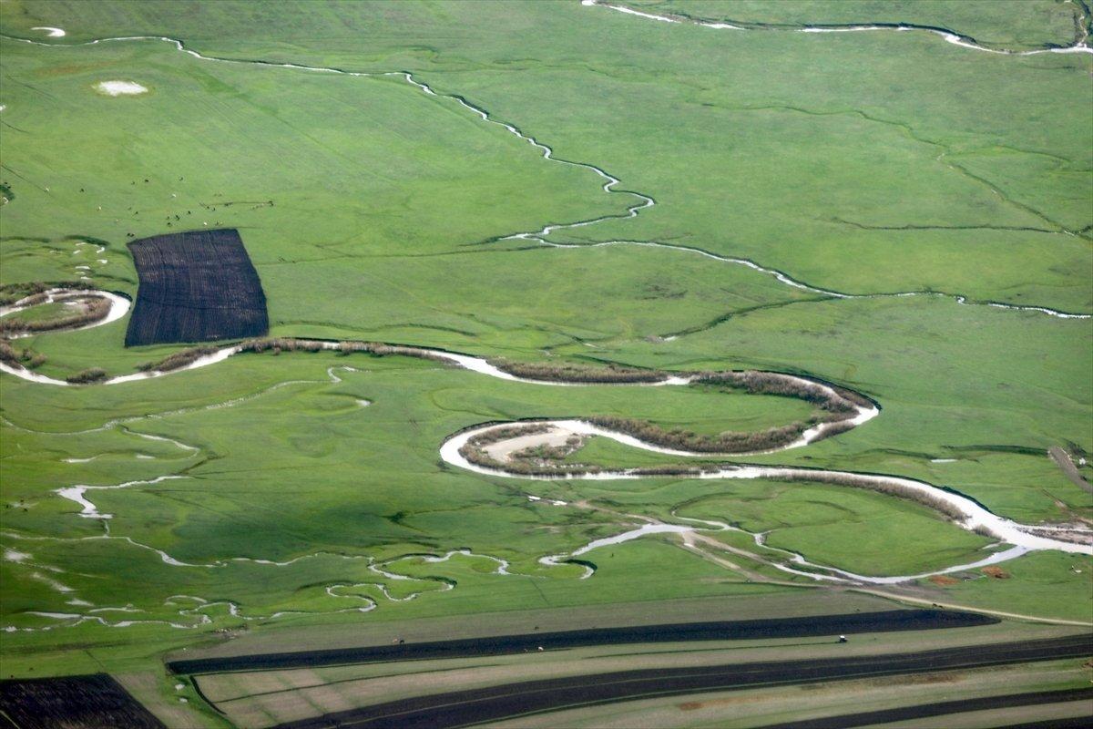 Ardahan'da menderesler görüntülendi